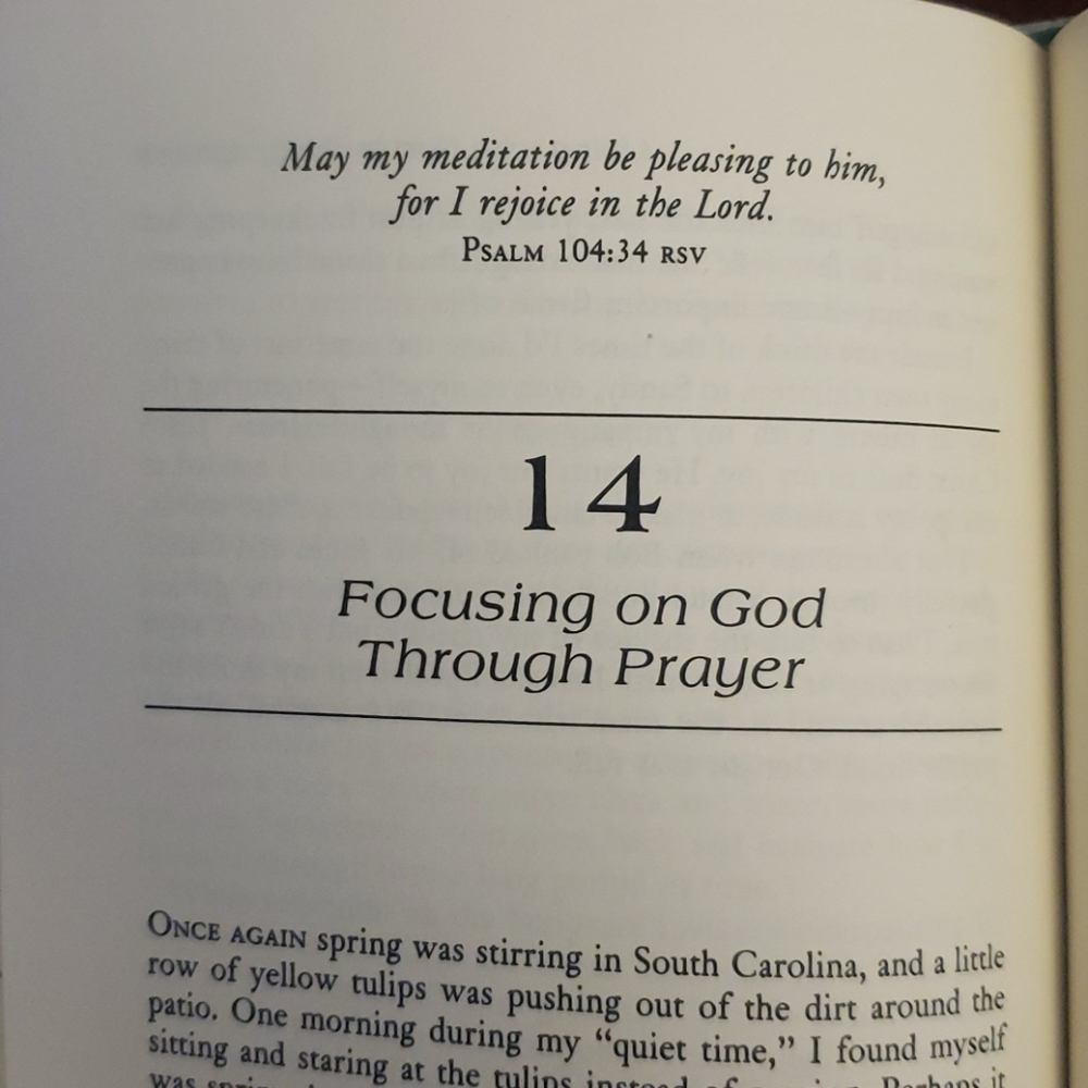 God's Joyful Surprise - Picture 5 of 5